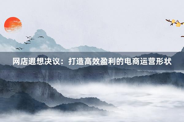 网店遐想决议:打造高效盈利的电商运营形状