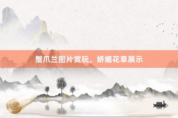 蟹爪兰图片赏玩，娇媚花草展示
