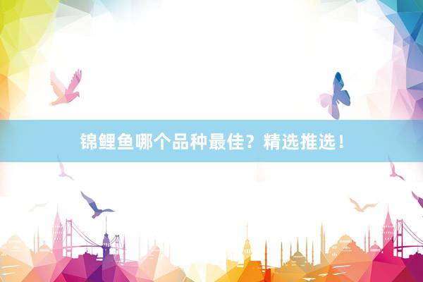 锦鲤鱼哪个品种最佳？精选推选！